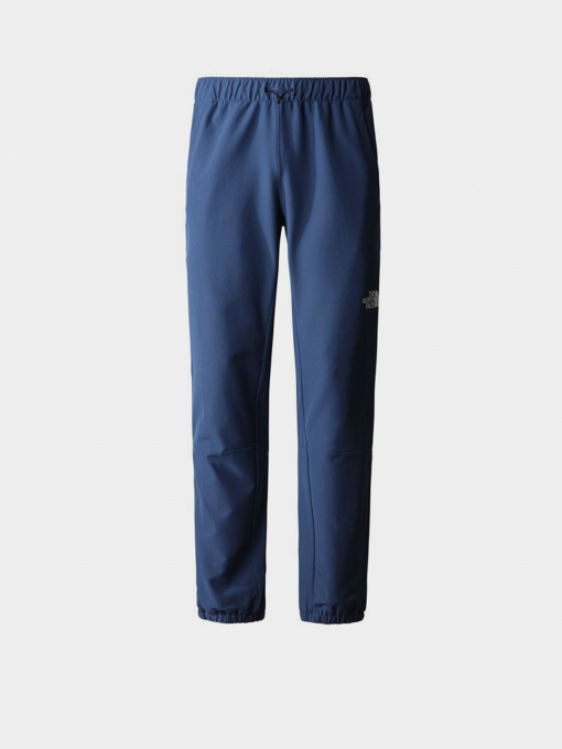 Брюки The North Face модель NF0A7ZAIHDC1 Фото