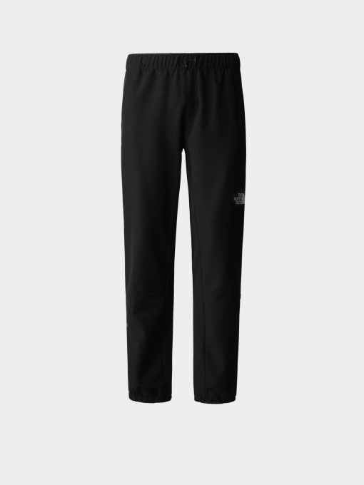 Брюки The North Face модель NF0A7ZAIJK31 Фото