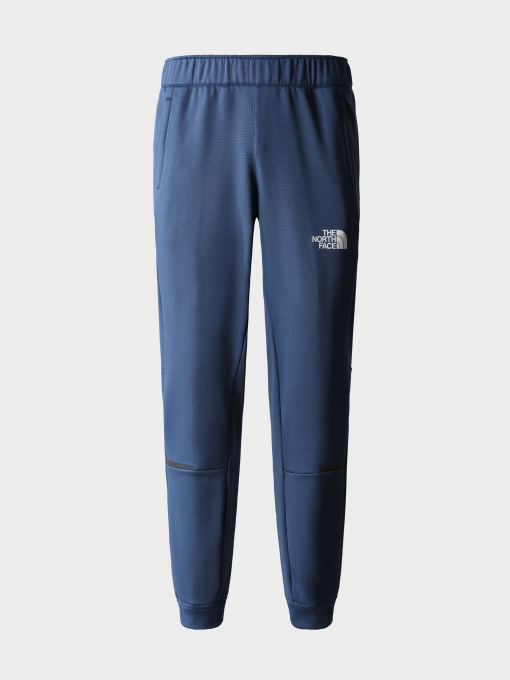Брюки The North Face модель NF0A7ZANHDC1 Фото