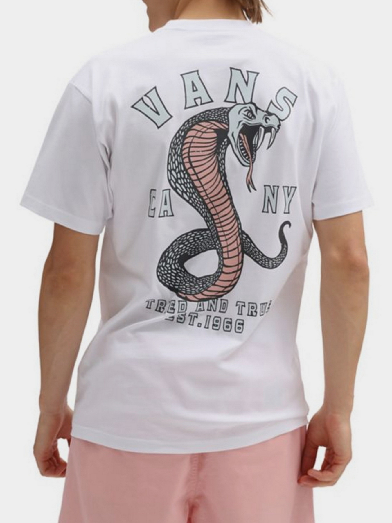 Футболки и поло Vans модель VN0A7PLSWHT1 Фото