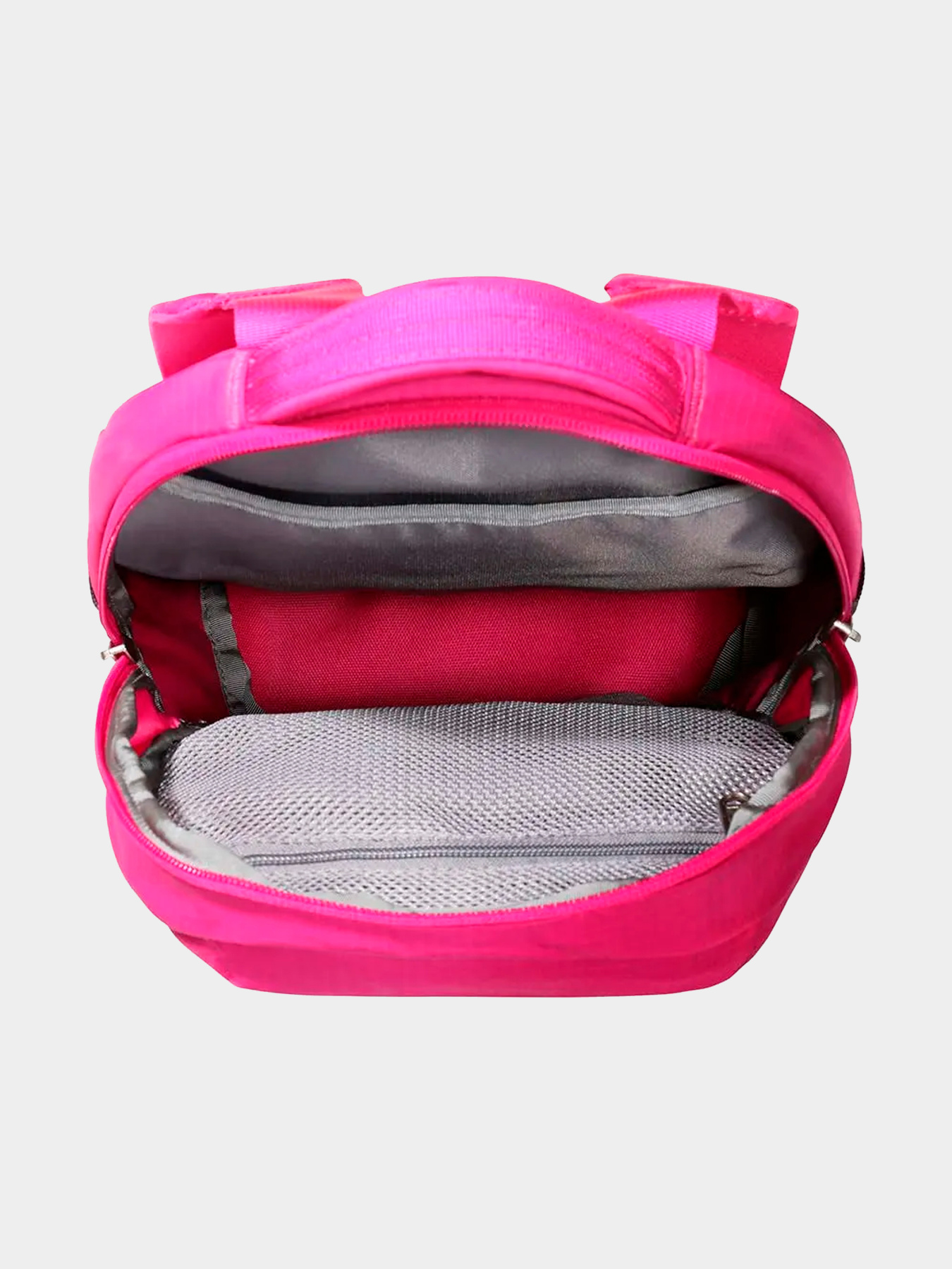 Рюкзаки The North Face модель NF0A52SWHY31 Фото