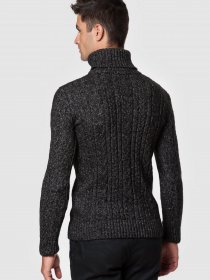 Свитер Arber модель AM10.45.30 Фото