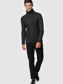 Свитер Arber модель AM10.45.30 Фото