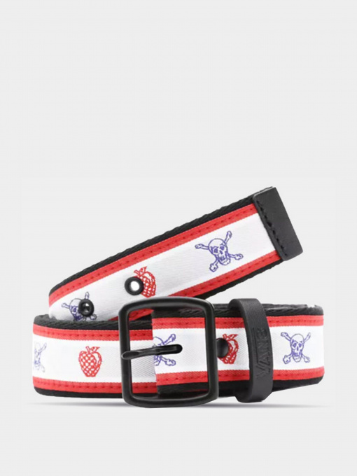 Ремни Vans модель VN0A4RVZZ721 Фото