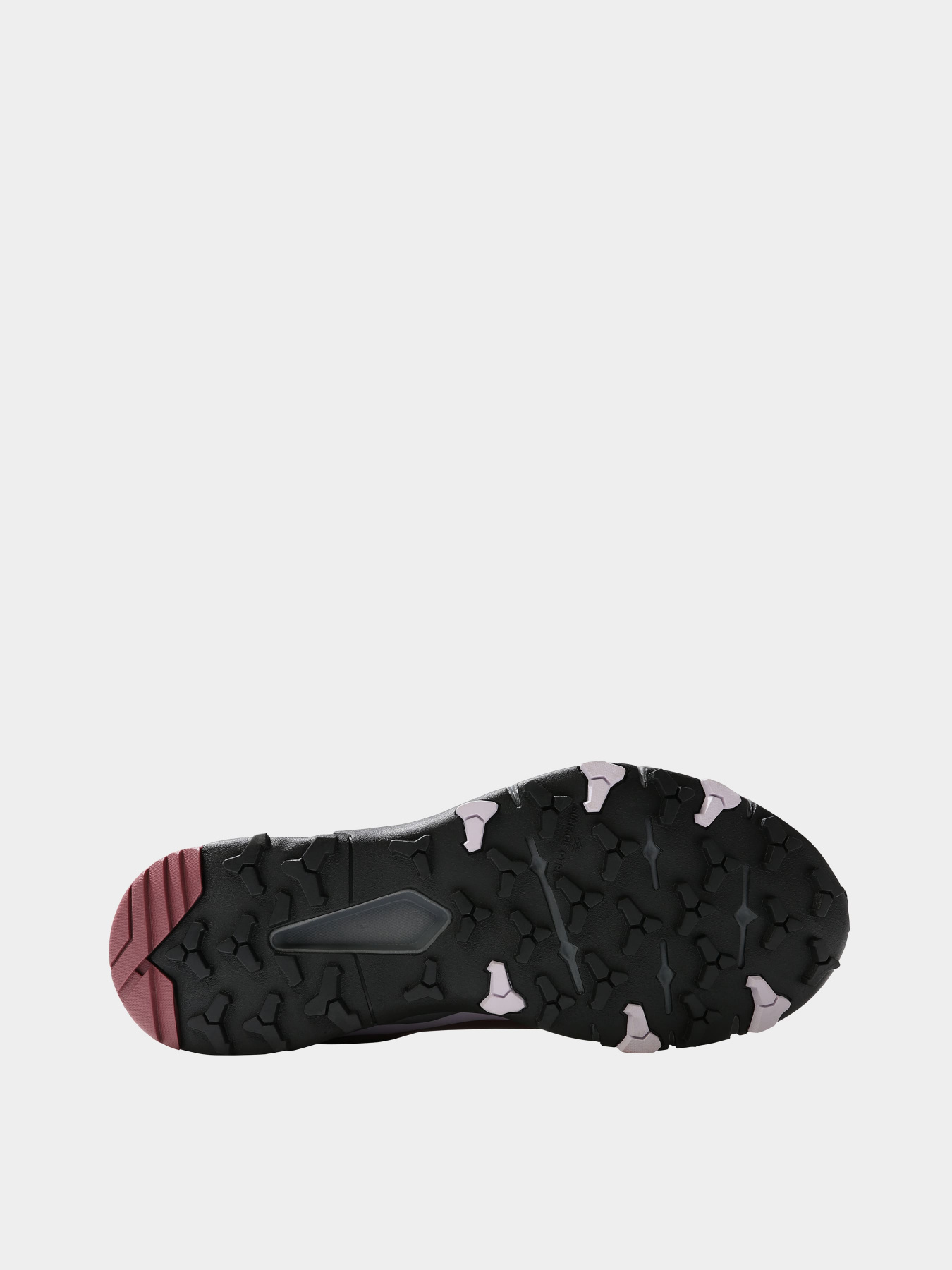 Кроссовки The North Face модель NF0A5G3C8691 Фото