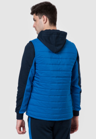 Жилет с утеплителем Arber модель AL08.12.11 Фото