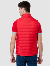 Жилет с утеплителем Arber модель AL08.13.11 Фото