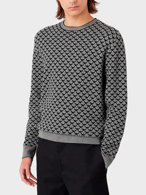 Кардигандар мен жемпірлер Emporio Armani үлгі 6L1MX1-1MPRZ-F118 Фото