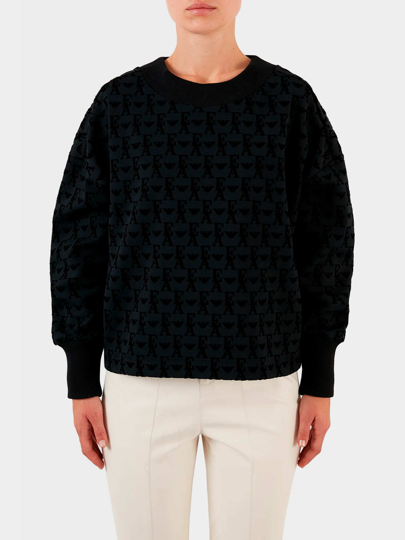 Худи и свитшоты Emporio Armani модель 6L2M7I-2JTCZ-0999 Фото
