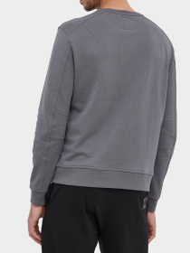 Худи и свитшоты Armani Exchange модель 8NZMPA-ZJ1ZZ-1839 Фото