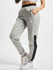 Брюки The North Face модель NF0A5IF3GAU1 Фото