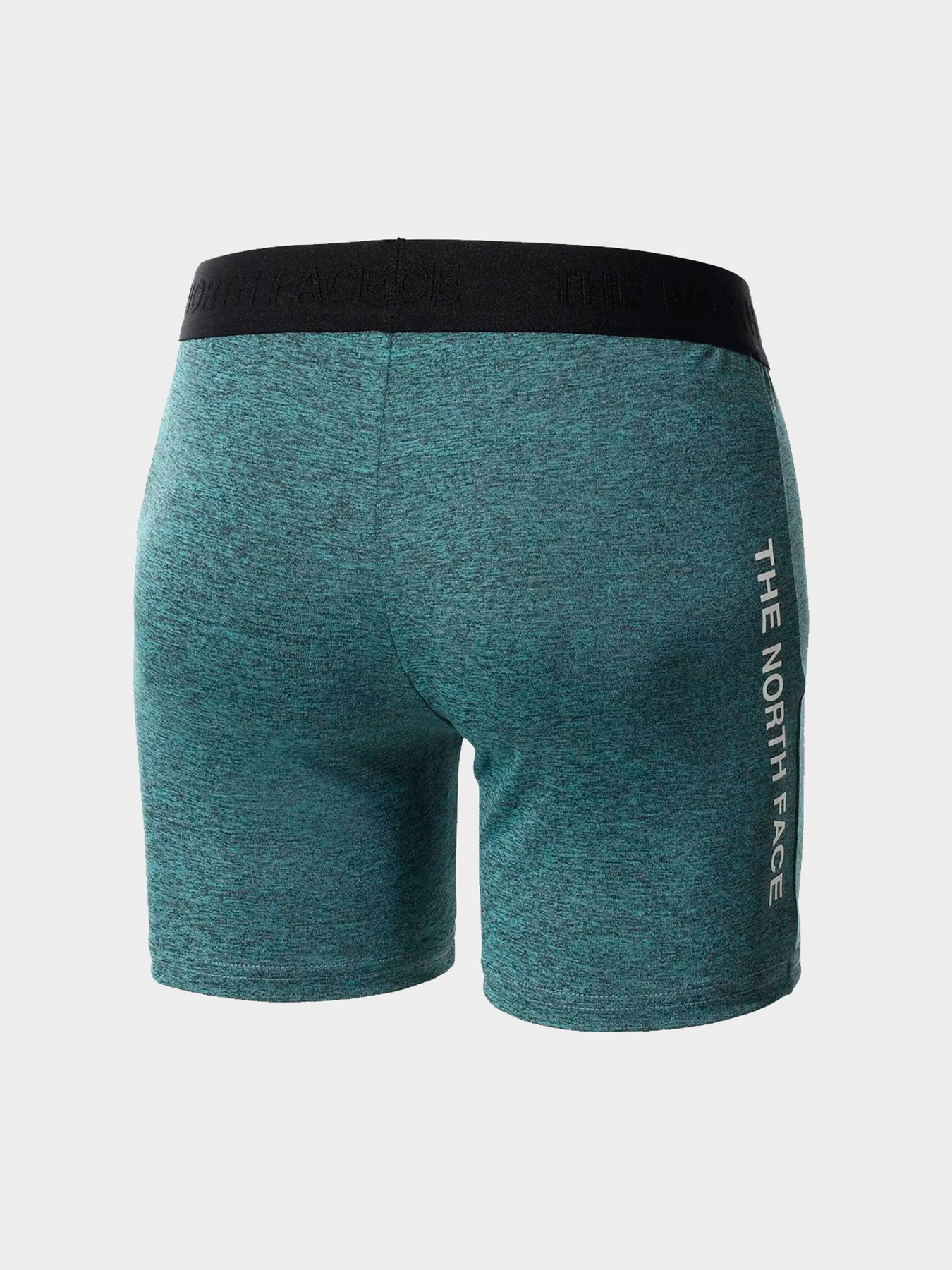 Шорты The North Face модель NF0A5IFA4591 Фото
