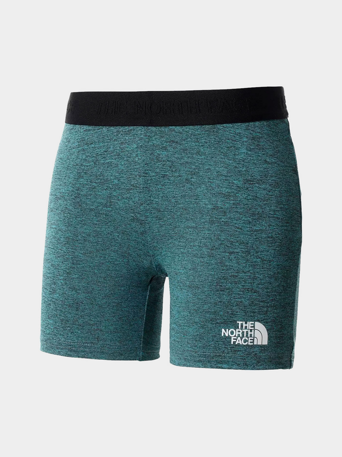 Шорты The North Face модель NF0A5IFA4591 Фото