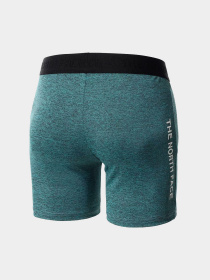 Шорты The North Face модель NF0A5IFA4591 Фото