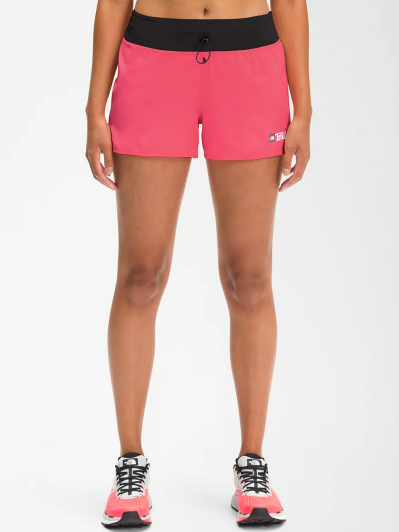 Шорты The North Face модель NF0A5J863971 Фото