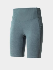 Шорты The North Face модель NF0A7QD1D0G1 Фото