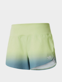 Шорты The North Face модель NF0A7QGF54B1 Фото