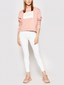 Худи и свитшоты Tommy Hilfiger модель WW0WW30391-TQS Фото