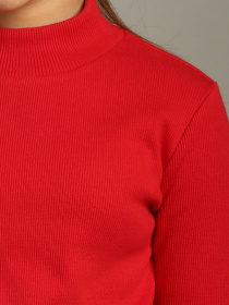 Водолазка BIGU модель 11130204 Фото