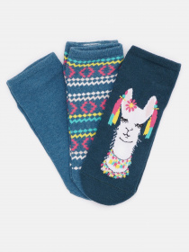 Набор носков C&A модель 66449 Набор носков C&A модель 66449 Фото