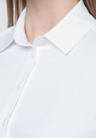 Рубашка Arber модель ARW25.44.00 Фото