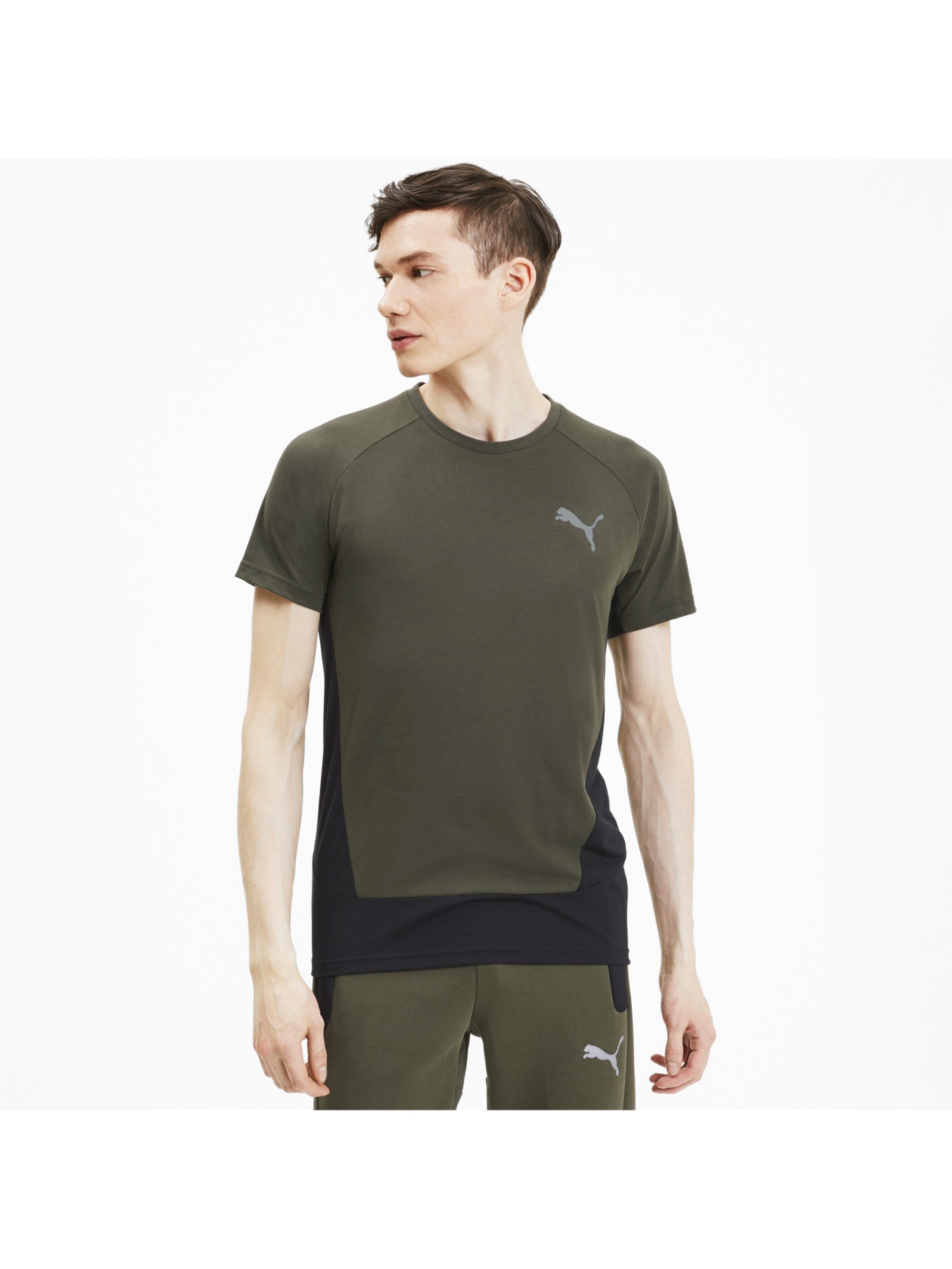 Спортивная футболка PUMA Evostripe Tee модель 583462 Спортивная футболка PUMA Evostripe Tee модель 583462 Фото