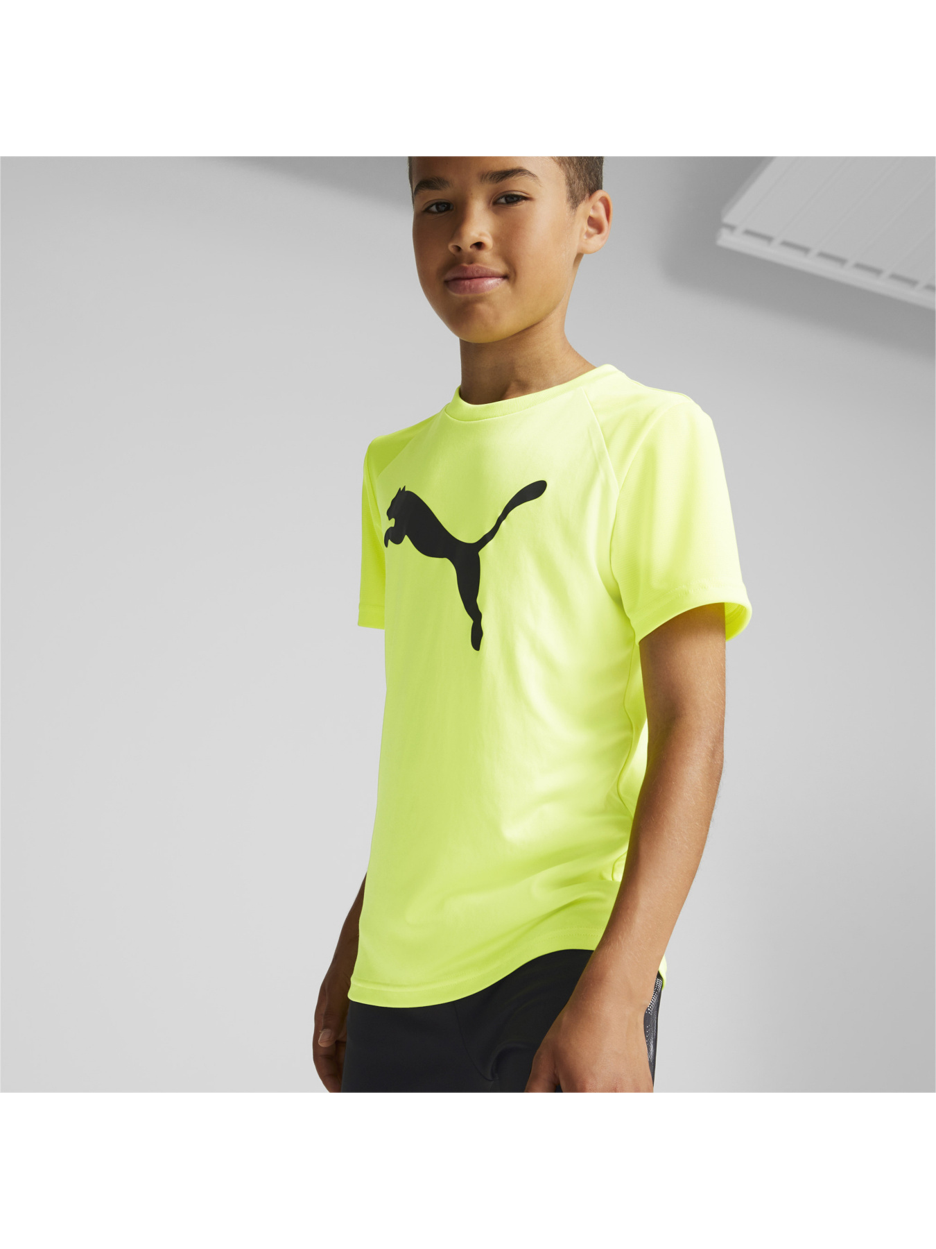 Спортивная футболка PUMA модель 670077 Фото