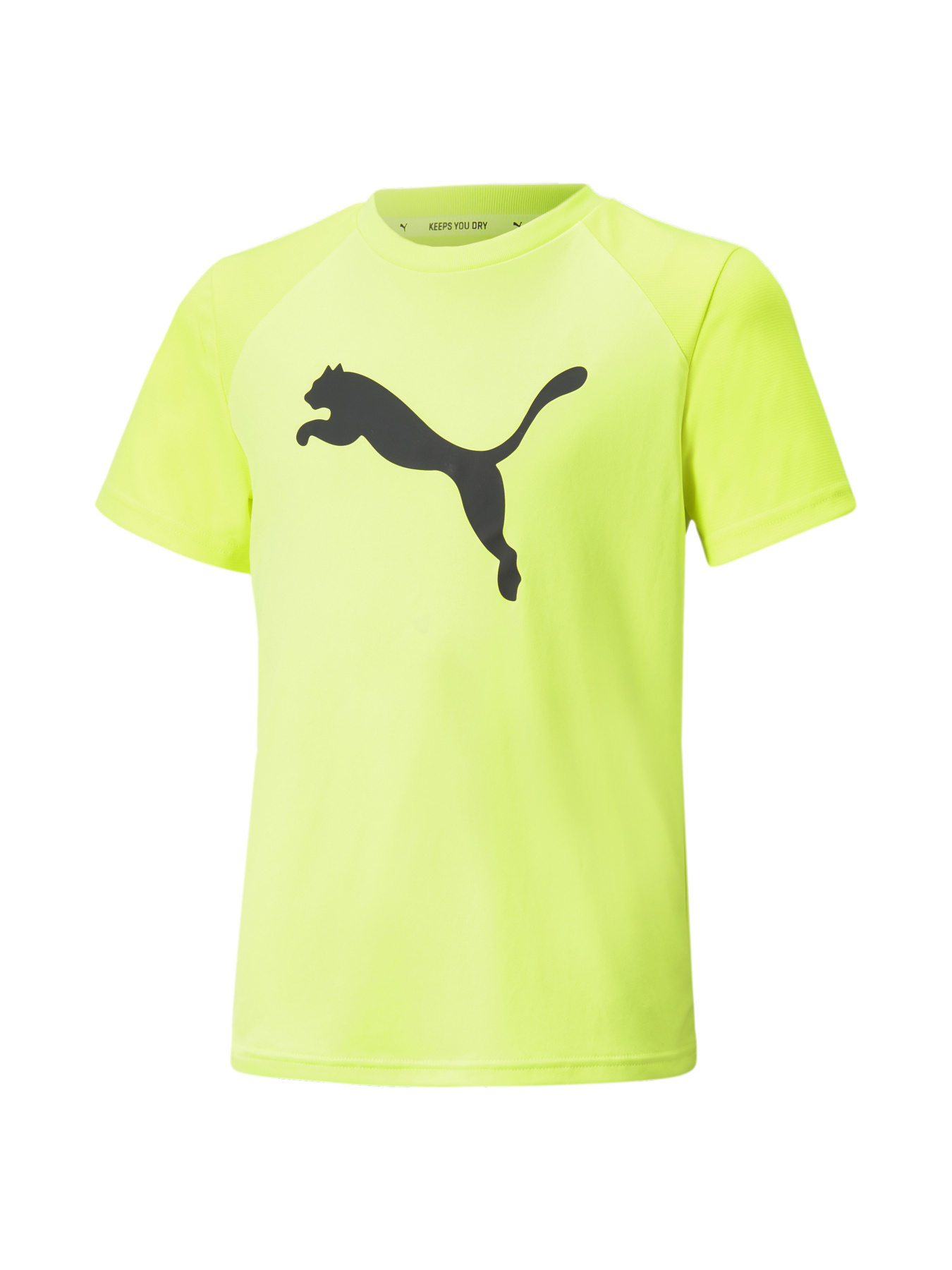 Спортивная футболка PUMA модель 670077 Фото