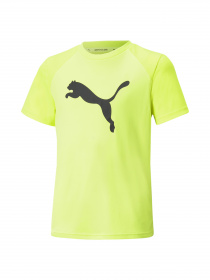 Спортивная футболка PUMA модель 670077 Фото