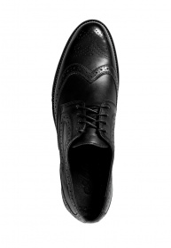 Броги Arber модель GM30.02.30 Фото