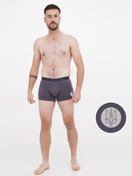 Трусы Chikiss модель CMH202-005g Фото