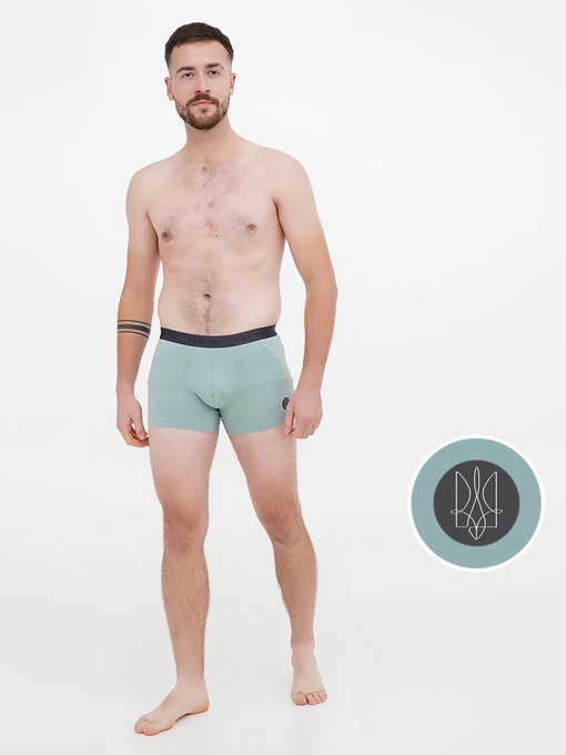 Труси Chikiss модель CMH202-005i Фото