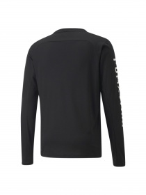 Кофта спортивная PUMA модель 521538 Фото