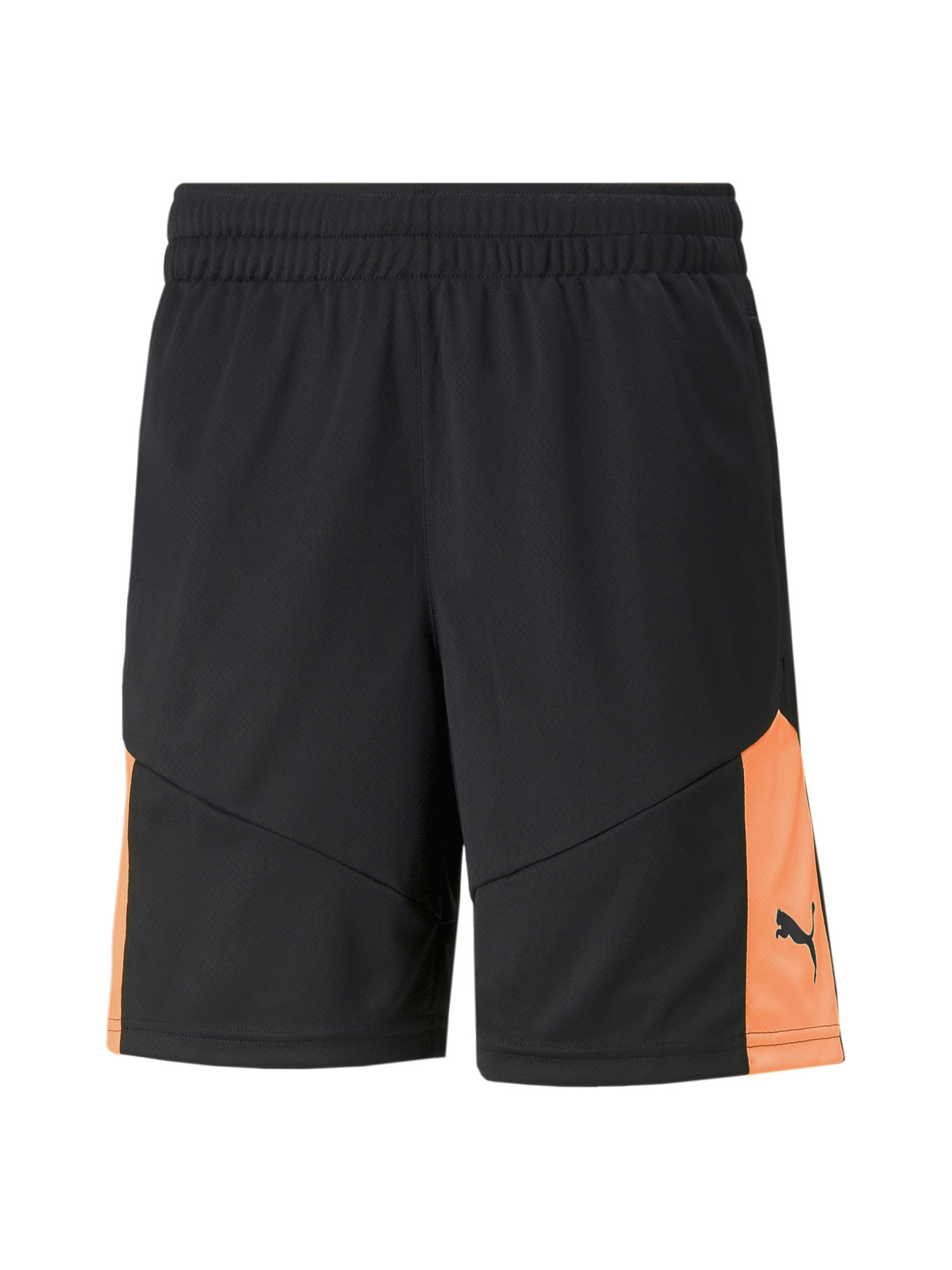 Шорты спортивные PUMA модель 657952 Фото