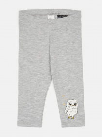 Леггинсы H&M модель 57511 Фото