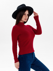 Водолазка ISSA Plus модель WN20-329_burgundy Фото