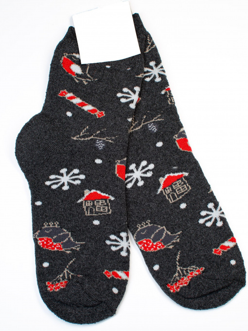 Шкарпетки ISSA Plus модель NS-205_darkgray Фото