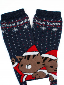 Шкарпетки ISSA Plus модель NS-207_blue Фото