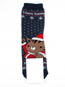 Шкарпетки ISSA Plus модель NS-207_blue Фото