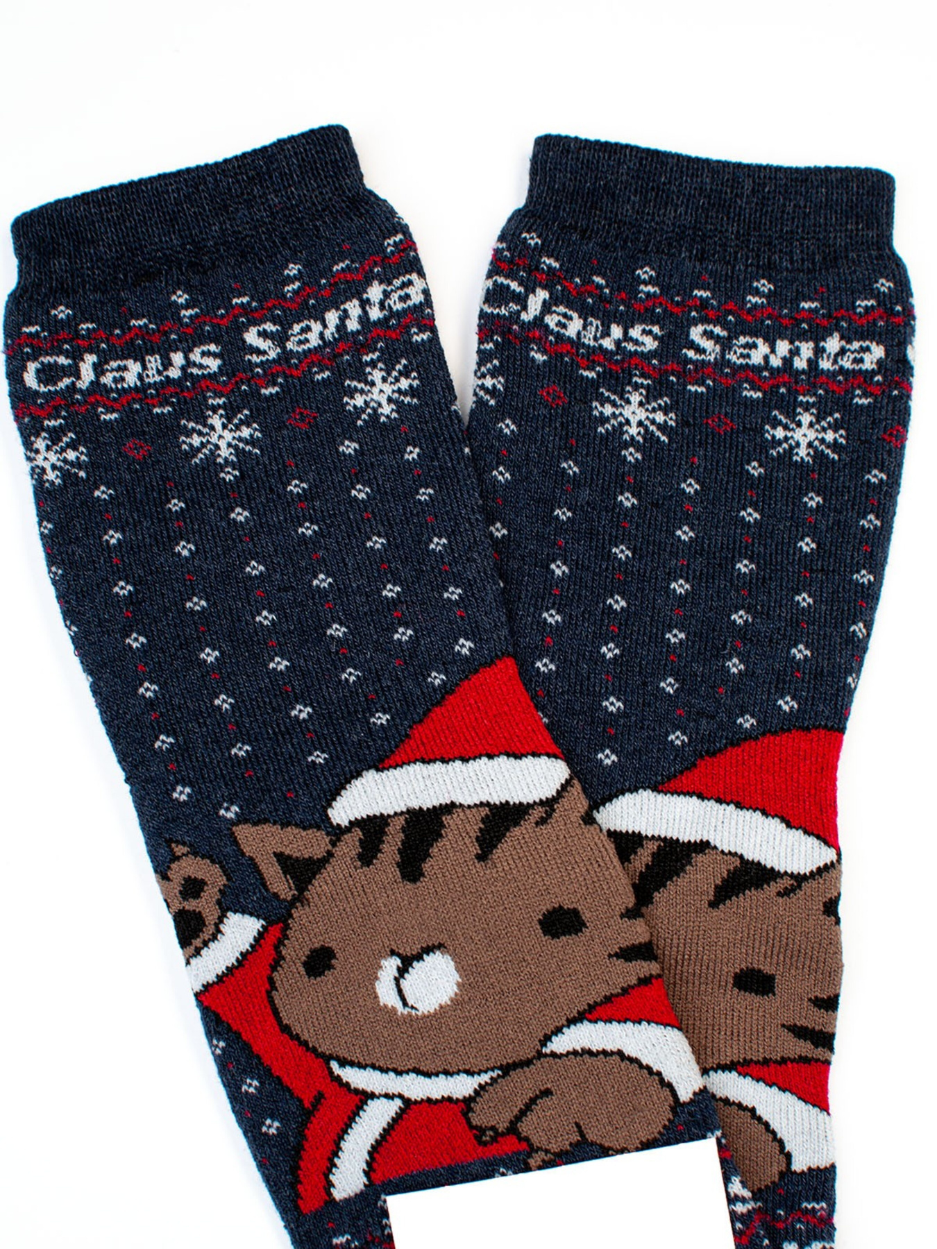 Шкарпетки ISSA Plus модель NS-207_blue Фото