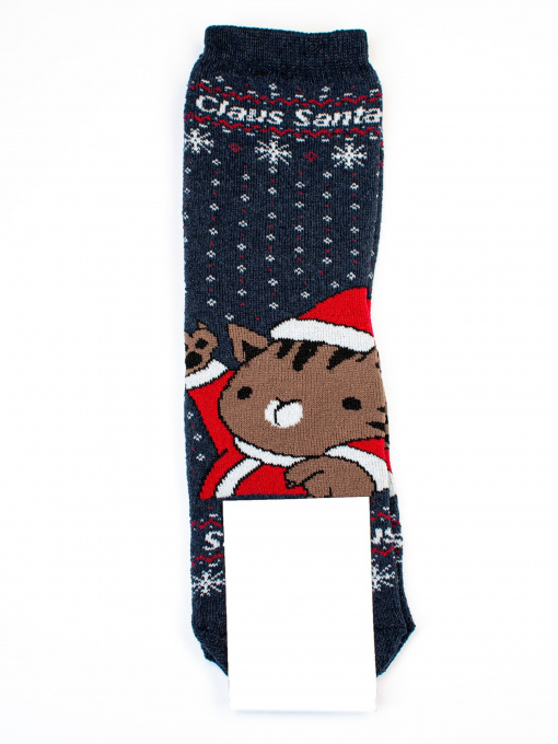 Шкарпетки ISSA Plus модель NS-207_blue Фото