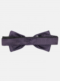 Бабочка C&A модель 63044 Фото