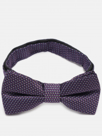 Бабочка C&A модель 63044 Фото