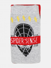 Набір шкарпеток C&A модель 57052 Набір шкарпеток C&A модель 57052 Фото