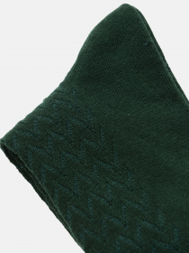 Носки C&A модель 54454 Фото