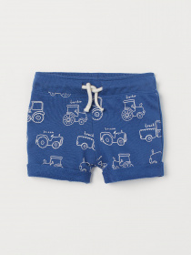 Повседневные шорты H&M модель 53186 Фото