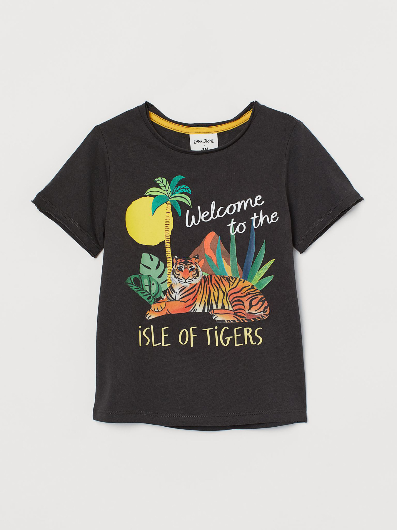 Футболка H&M модель 54793 Фото