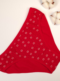 Трусы ISSA Plus модель BL2-524_red Фото