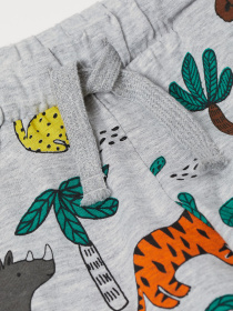 Повседневные шорты H&M модель 51611 Фото