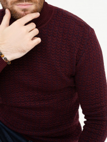 Свитер ISSA Plus модель GN4-90_burgundy Фото